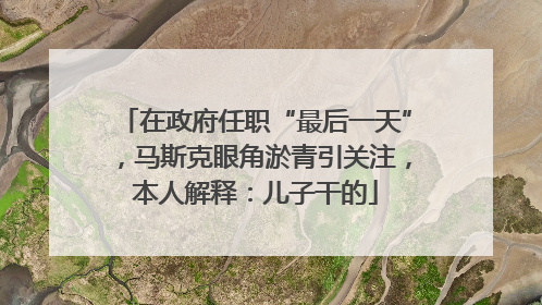 在政府任职“最后一天”，马斯克眼角淤青引关注，本人解释：儿子干的