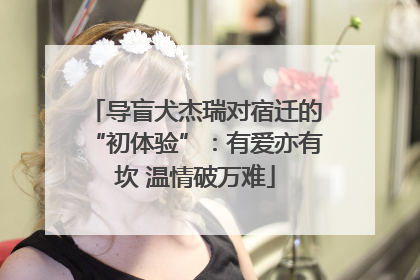 导盲犬杰瑞对宿迁的“初体验”：有爱亦有坎 温情破万难