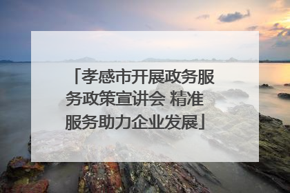 孝感市开展政务服务政策宣讲会 精准服务助力企业发展