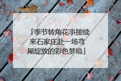 季节转角花事接续 来石家庄赴一场鸢尾绽放的彩色梦境