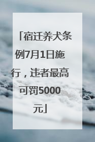 宿迁养犬条例7月1日施行，违者最高可罚5000元