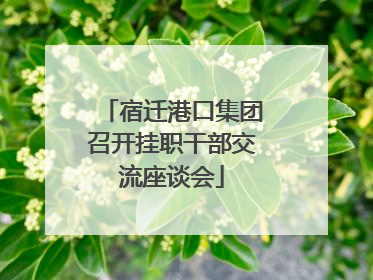 宿迁港口集团召开挂职干部交流座谈会