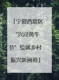 宁夏西夏区 “兴泾黄牛节”绘就乡村振兴新画卷