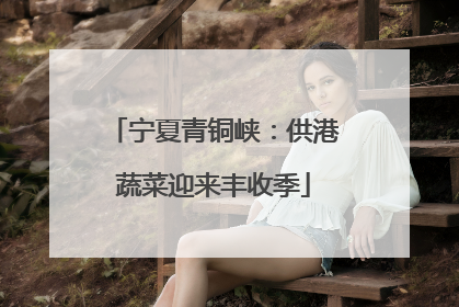 宁夏青铜峡：供港蔬菜迎来丰收季