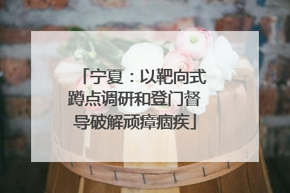 宁夏：以靶向式蹲点调研和登门督导破解顽瘴痼疾