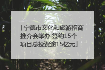 宁德市文化和旅游招商推介会举办 签约15个项目总投资逾15亿元