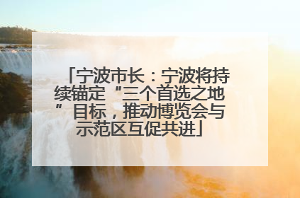 宁波市长：宁波将持续锚定“三个首选之地”目标，推动博览会与示范区互促共进