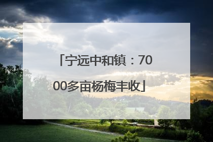 宁远中和镇：7000多亩杨梅丰收
