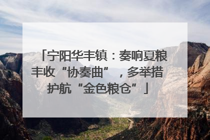 宁阳华丰镇：奏响夏粮丰收“协奏曲”，多举措护航“金色粮仓”
