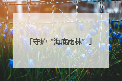 守护“海底雨林”