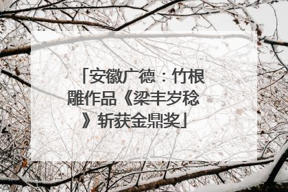 安徽广德：竹根雕作品《梁丰岁稔》斩获金鼎奖