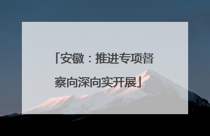 安徽：推进专项督察向深向实开展