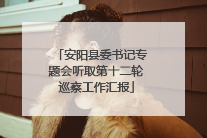 安阳县委书记专题会听取第十二轮巡察工作汇报