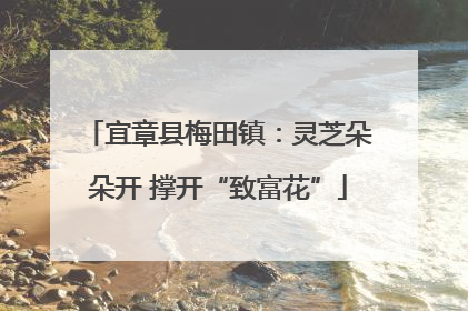 宜章县梅田镇：灵芝朵朵开 撑开“致富花”