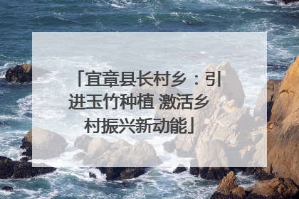 宜章县长村乡：引进玉竹种植 激活乡村振兴新动能