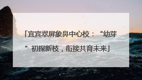 宜宾翠屏象鼻中心校：“幼芽”初探新枝，衔接共育未来