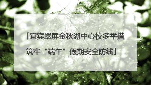 宜宾翠屏金秋湖中心校多举措筑牢“端午”假期安全防线