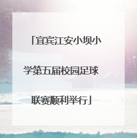 宜宾江安小坝小学第五届校园足球联赛顺利举行