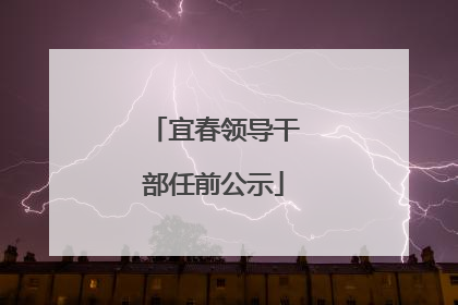 宜春领导干部任前公示