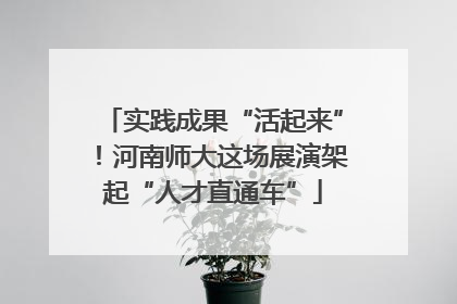 实践成果“活起来”！河南师大这场展演架起“人才直通车”