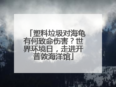 塑料垃圾对海龟有何致命伤害？世界环境日，走进开普敦海洋馆