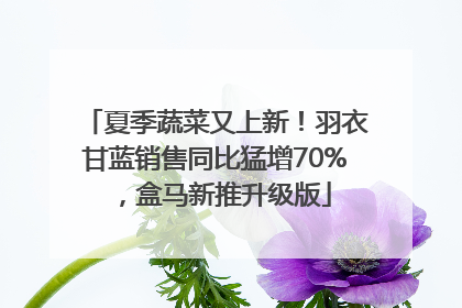夏季蔬菜又上新！羽衣甘蓝销售同比猛增70%，盒马新推升级版