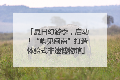 夏日幻游季，启动！“屿见闽南”打造体验式非遗博物馆