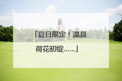 夏日限定！温县荷花初绽……