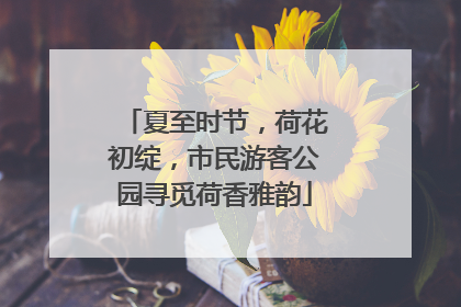 夏至时节，荷花初绽，市民游客公园寻觅荷香雅韵