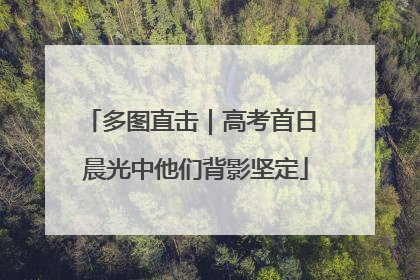 多图直击｜高考首日 晨光中他们背影坚定