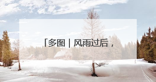 多图｜风雨过后，密云水库“鸟岛”上的幼鸟还好吗？