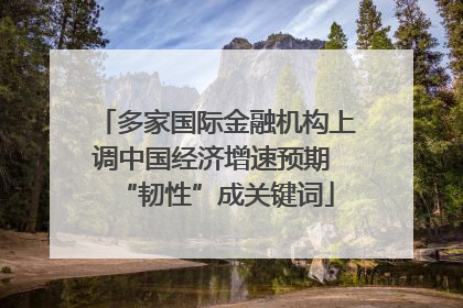 多家国际金融机构上调中国经济增速预期 “韧性”成关键词
