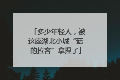 多少年轻人，被这座湖北小城“菇的拉客”拿捏了