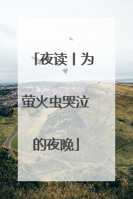 夜读丨为萤火虫哭泣的夜晚