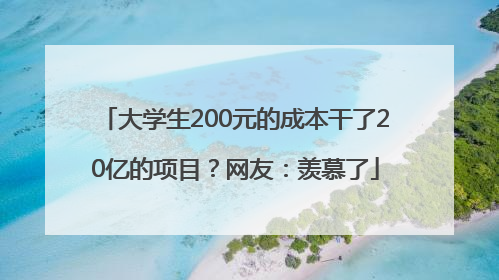 大学生200元的成本干了20亿的项目？网友：羡慕了