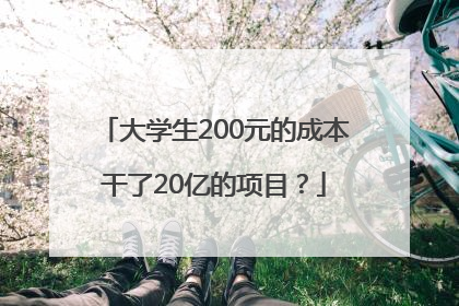 大学生200元的成本干了20亿的项目？