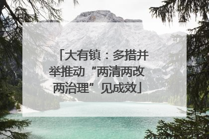 大有镇：多措并举推动“两清两改两治理”见成效