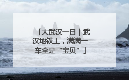 大武汉一日｜武汉地铁上，满满一车全是“宝贝”