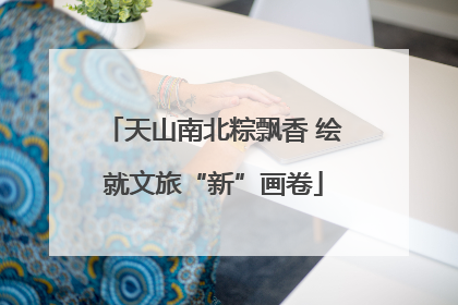 天山南北粽飘香 绘就文旅“新”画卷