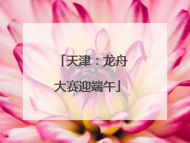 天津：龙舟大赛迎端午