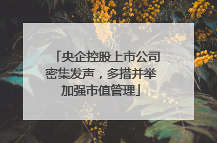 央企控股上市公司密集发声，多措并举加强市值管理