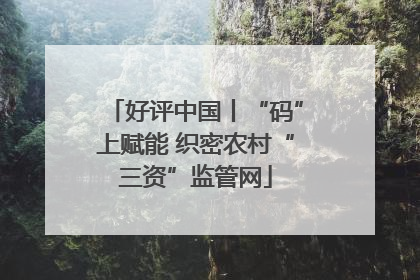 好评中国丨“码”上赋能 织密农村“三资”监管网