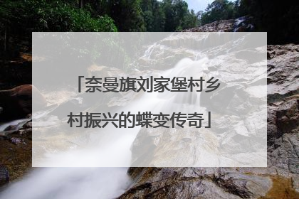 奈曼旗刘家堡村乡村振兴的蝶变传奇