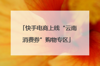 快手电商上线“云南消费券”购物专区
