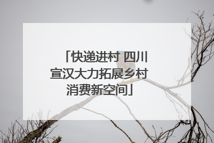 快递进村 四川宣汉大力拓展乡村消费新空间