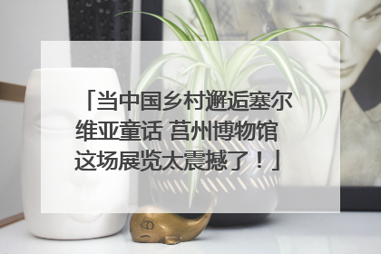 当中国乡村邂逅塞尔维亚童话 莒州博物馆这场展览太震撼了！