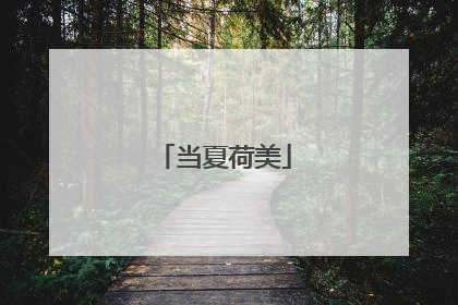 当夏荷美