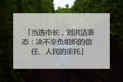 当选市长，刘洪洁表态：决不辜负组织的信任、人民的重托