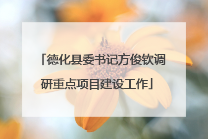 德化县委书记方俊钦调研重点项目建设工作