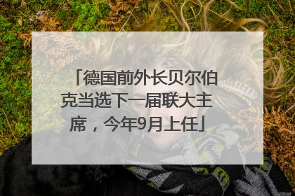 德国前外长贝尔伯克当选下一届联大主席，今年9月上任